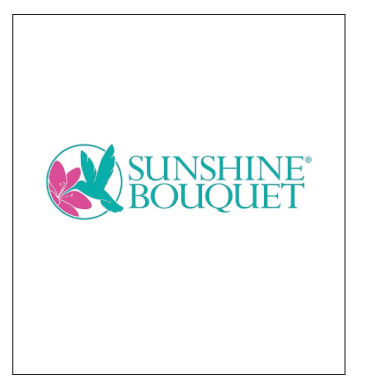 11.-shunshine